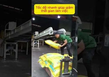 Hệ thống băng tải xuất hàng đồng bộ